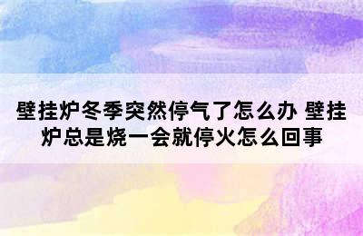 壁挂炉冬季突然停气了怎么办 壁挂炉总是烧一会就停火怎么回事